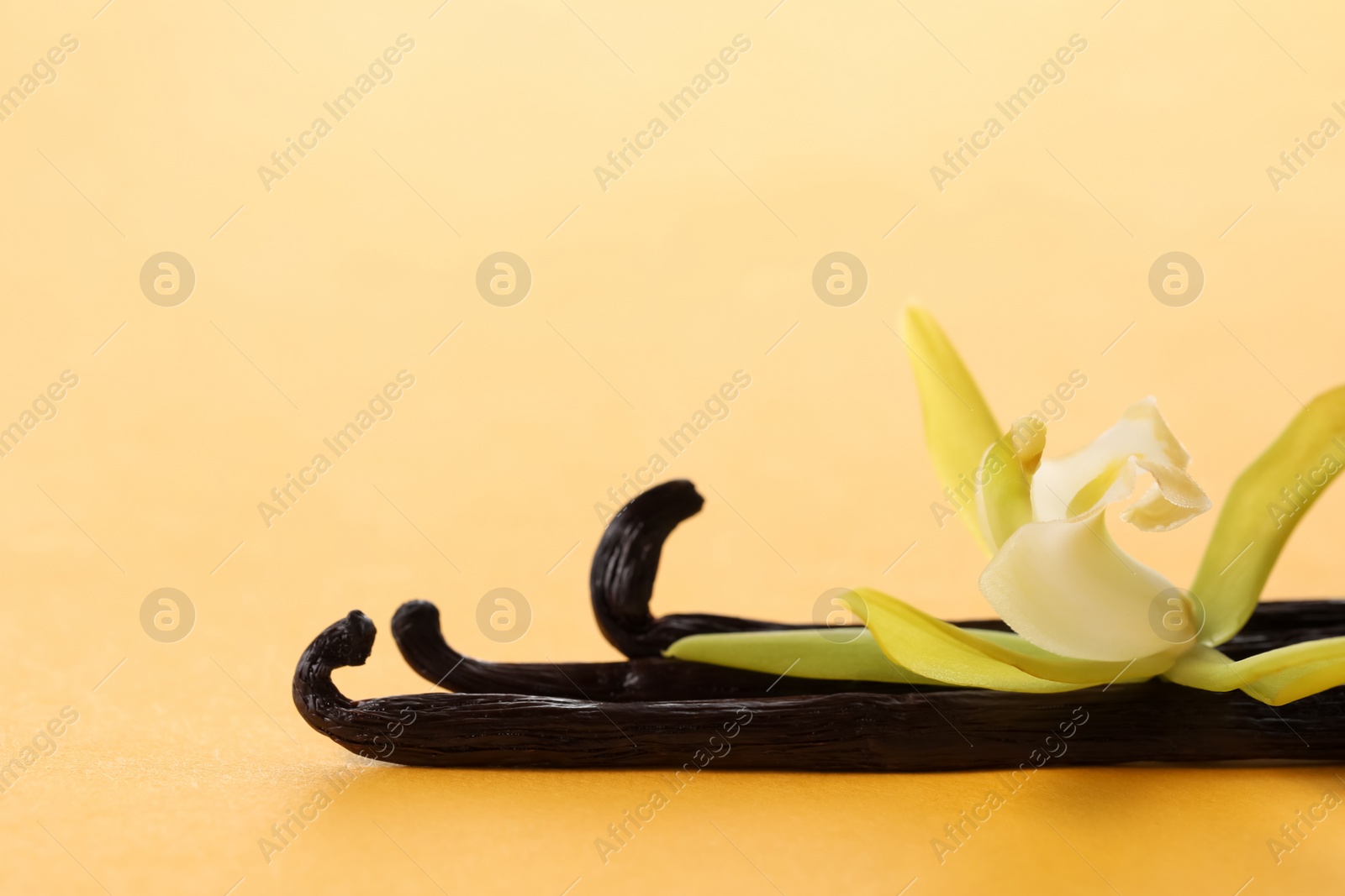 Photo of Vanilla pods and beautiful flower on beige background, closeup. Space for text