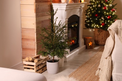 Photo of Beautiful room interior with potted fir, fireplace and decorated Christmas tree