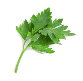 Leaves of fresh tasty parsley on white background