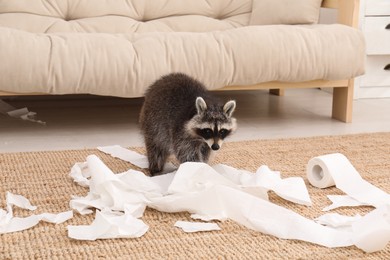 Photo of Cute mischievous raccoon playing with toilet paper on floor indoors