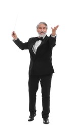 Photo of Professional conductor with baton on white background