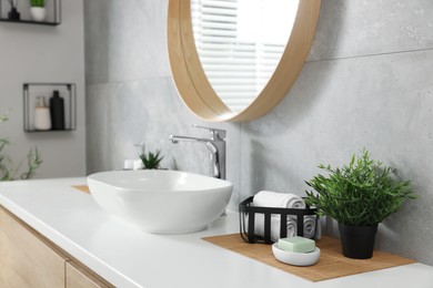 Potted artificial plant, rolled towels and soap near sink on bathroom vanity