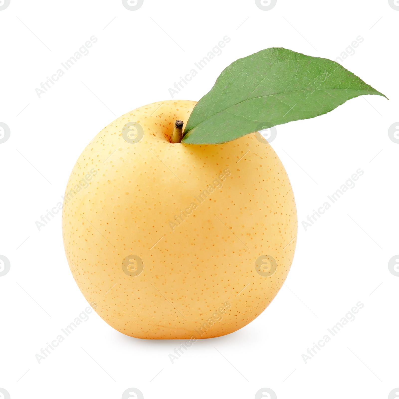 Photo of Delicious fresh apple pear isolated on white