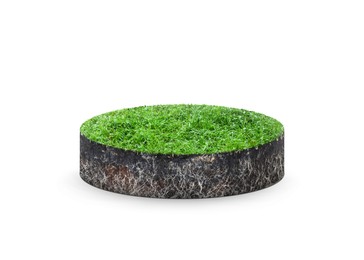 Green grass with soil. Land piece in shape of circle isolated on white