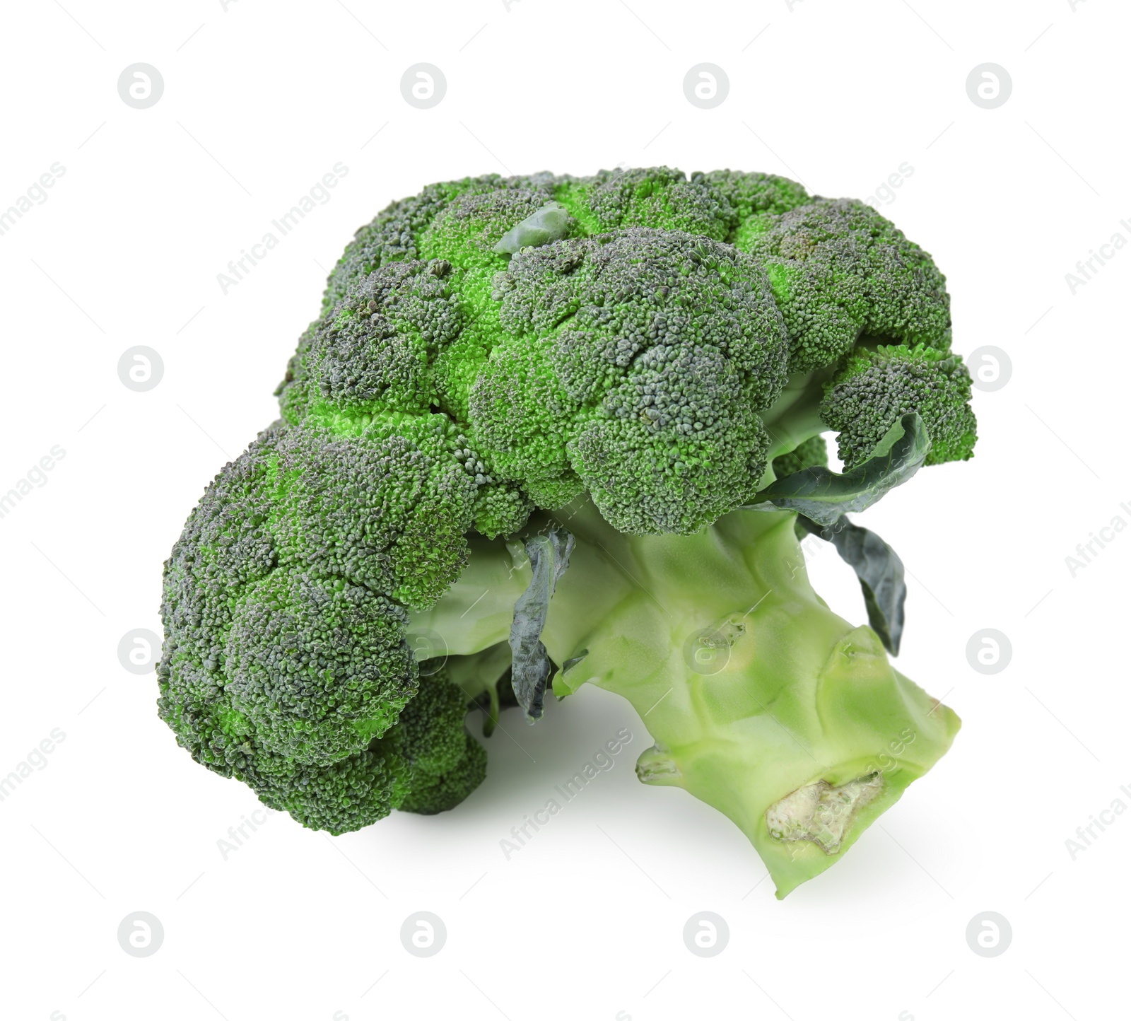 Photo of Fresh raw green broccoli isolated on white