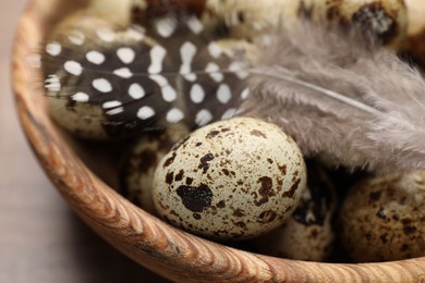 Photo of Speckled quail eggs and feathers on table, closeup
