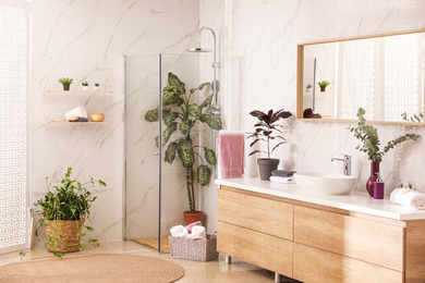 Stylish bathroom interior with countertop, shower stall and houseplants. Design idea