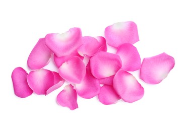 Many pink rose petals on white background, top view