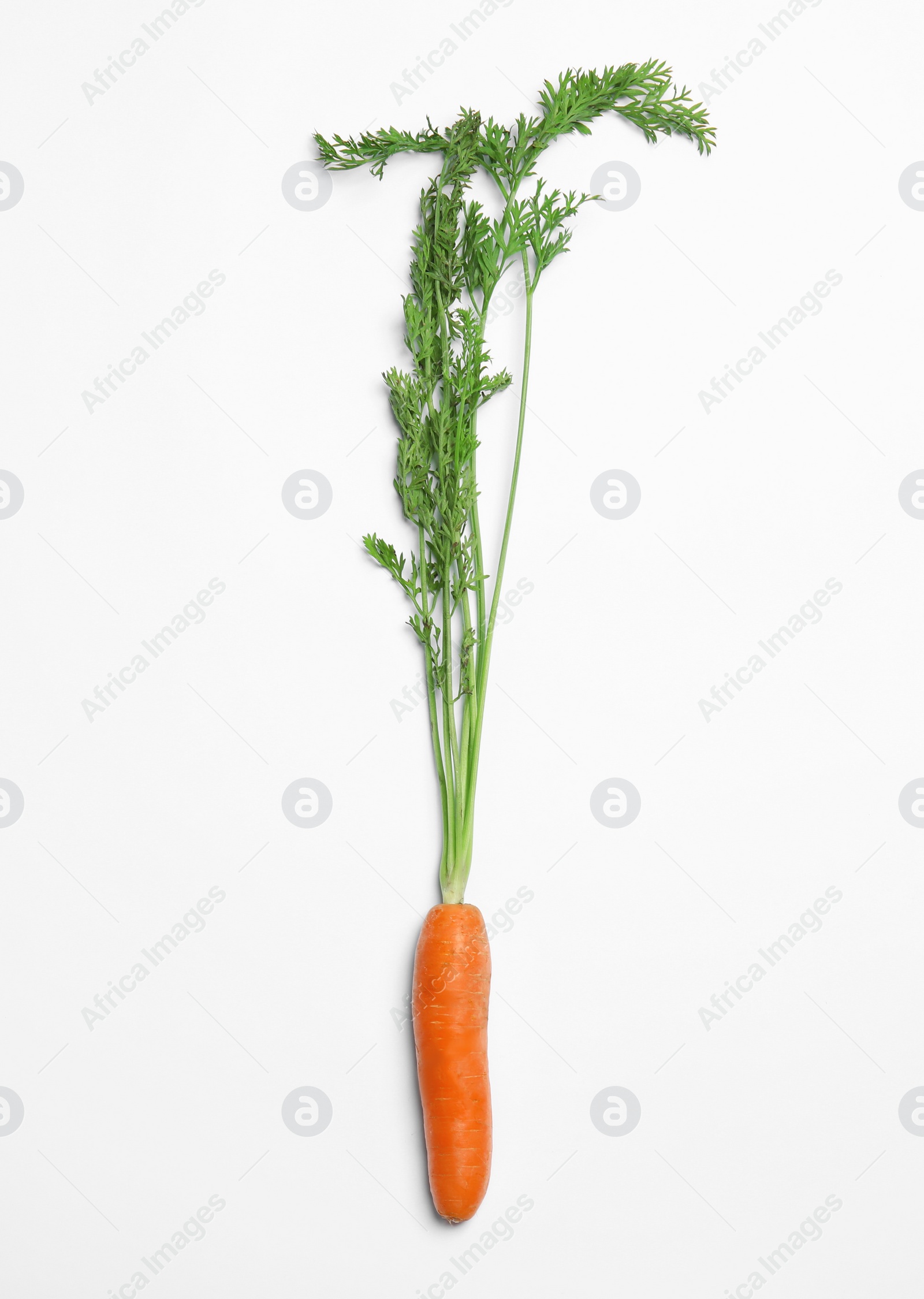 Photo of Ripe carrot on white background. Healthy diet