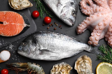 Photo of Fresh dorado fish and other seafood on black slate background, flat lay