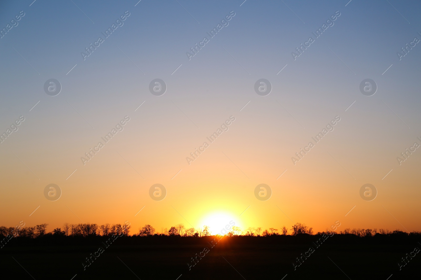 Photo of Beautiful view on field during sunset. Picturesque landscape