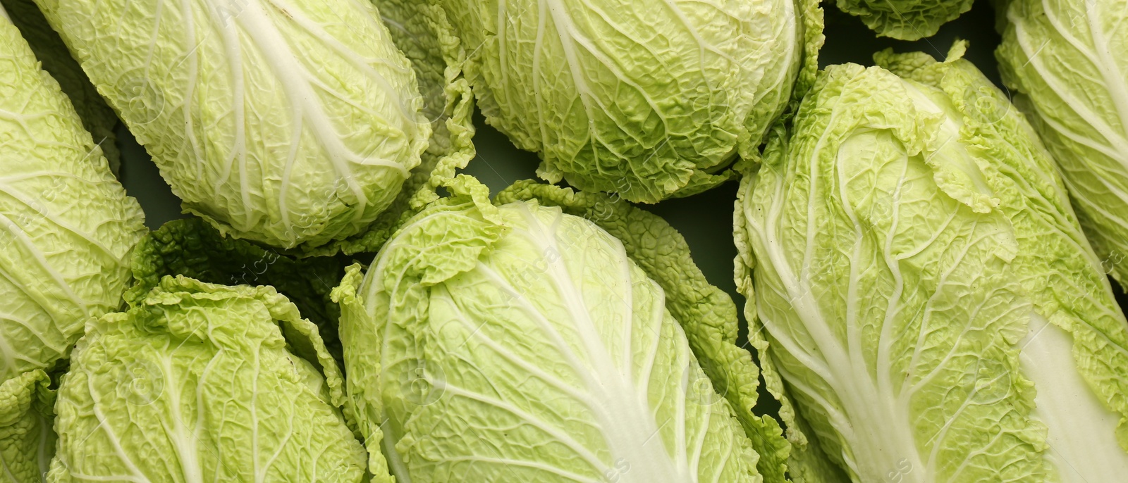 Image of Fresh ripe Chinese cabbages as background, top view