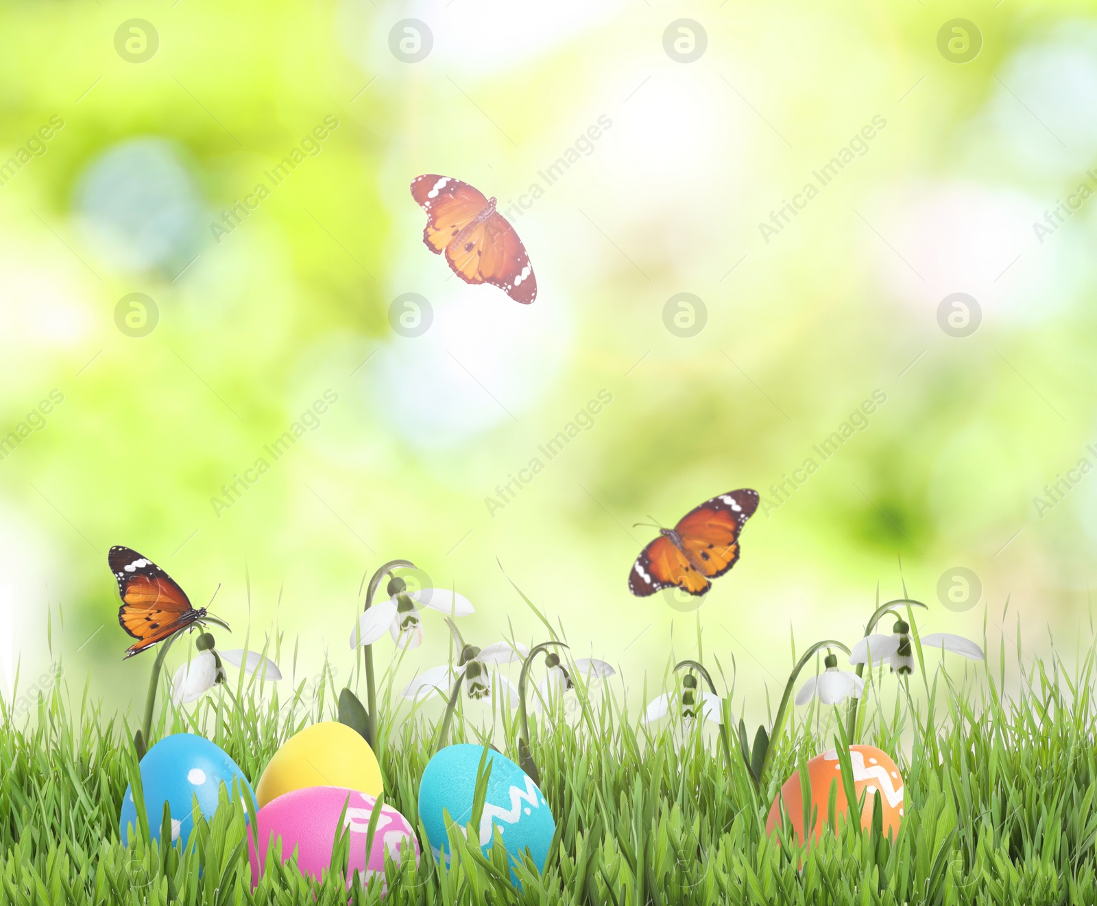 Image of Colorful Easter eggs with flowers in green grass and butterflies on blurred background