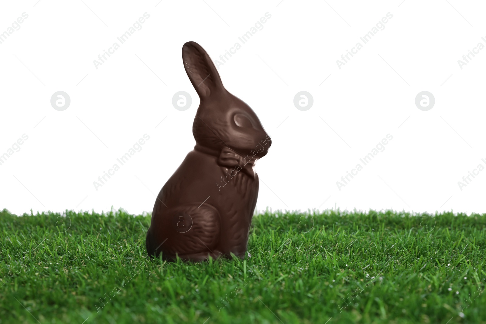 Photo of Chocolate bunny on green grass against white background. Easter celebration