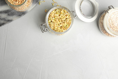 Photo of Jars with green buckwheat on light grey table, flat lay. Space for text