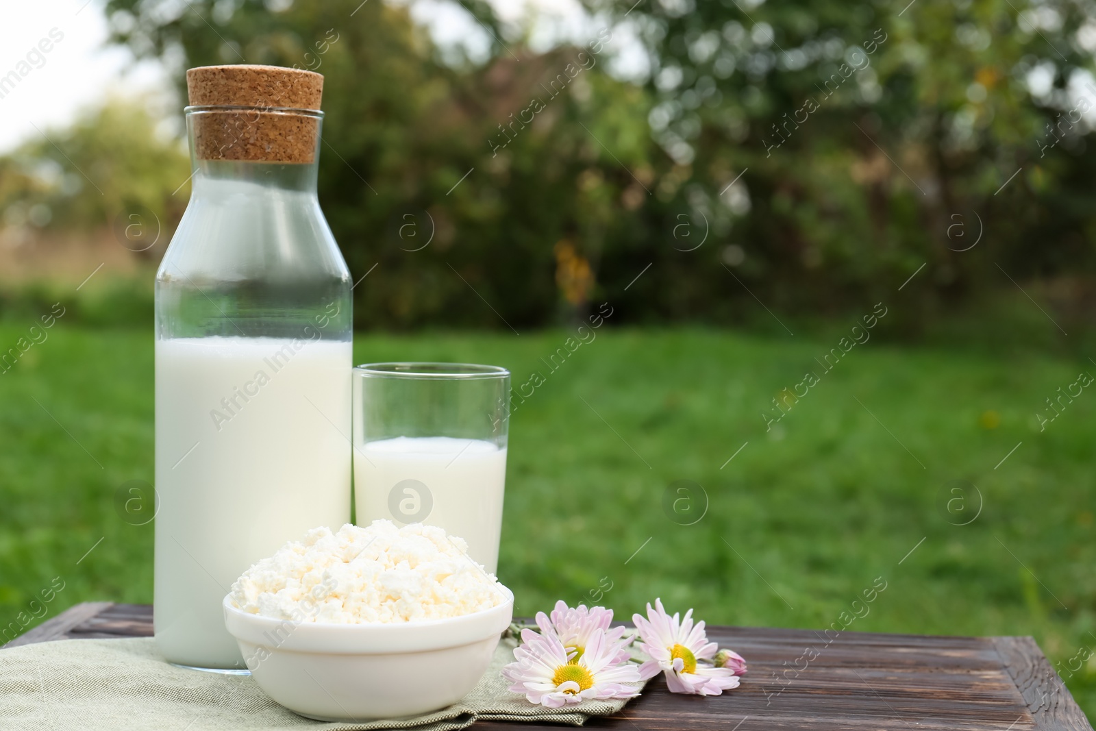 Photo of Tasty fresh milk and cottage cheese on wooden table outdoors. Space for text