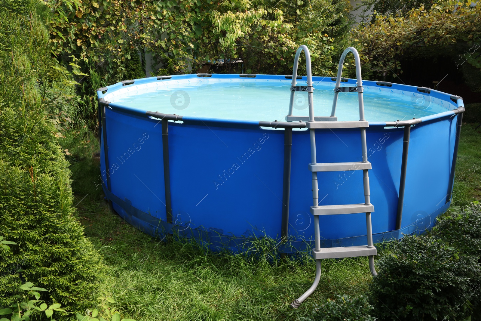 Photo of Above ground swimming pool on grass in backyard