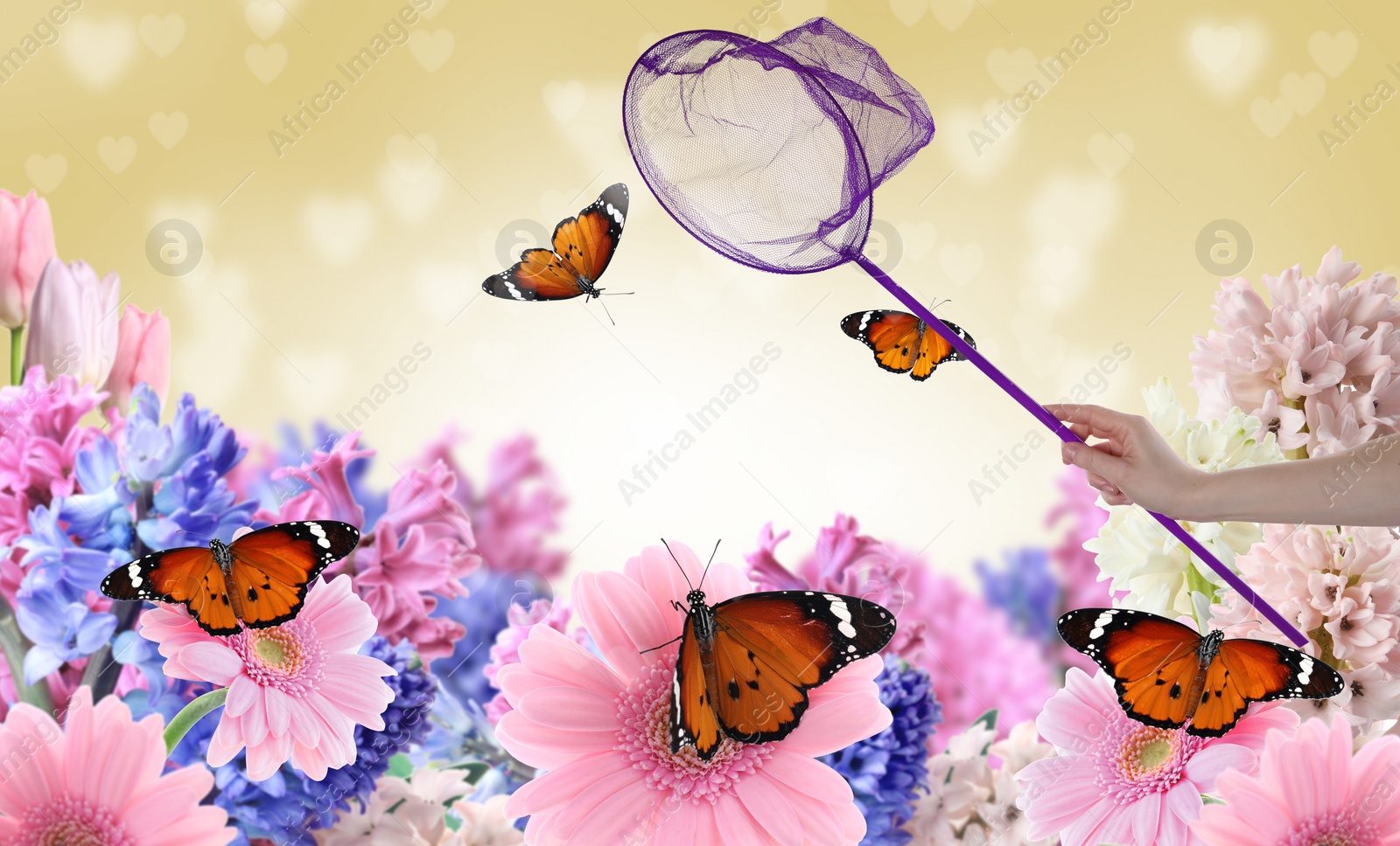 Image of Woman catching butterflies with net in flower garden, closeup