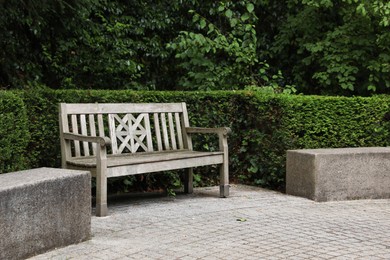 Stylish wooden bench and green plants in beautiful garden