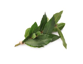 Photo of Aromatic fresh bay leaves isolated on white, top view