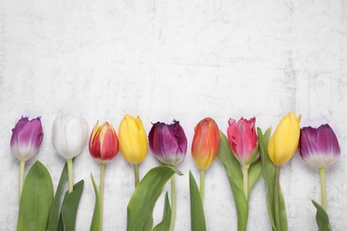 Photo of Beautiful colorful tulip flowers on white stone background, flat lay. Space for text