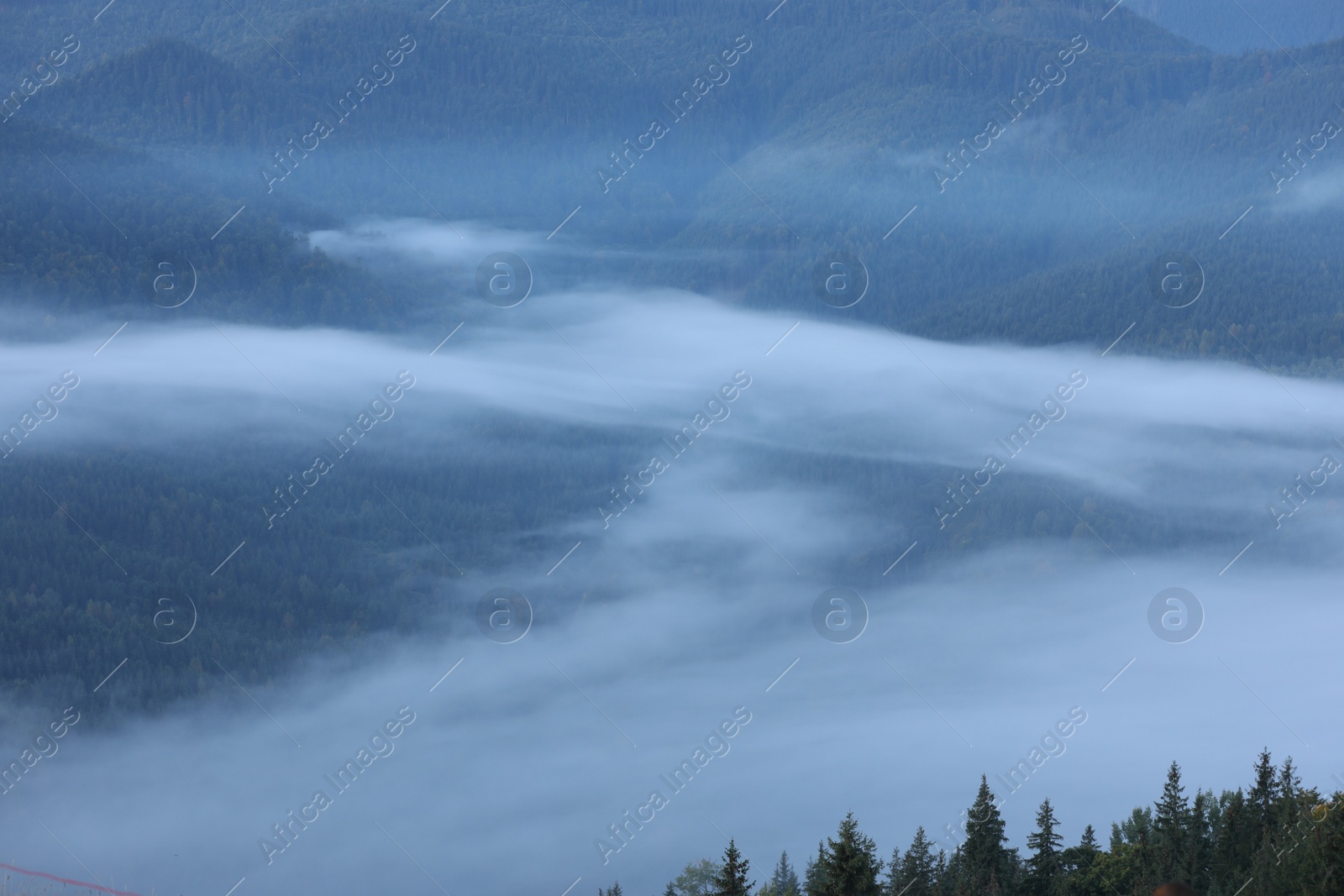 Photo of Beautiful view of foggy mountains covered with forest