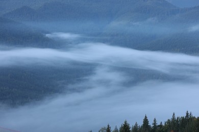 Beautiful view of foggy mountains covered with forest