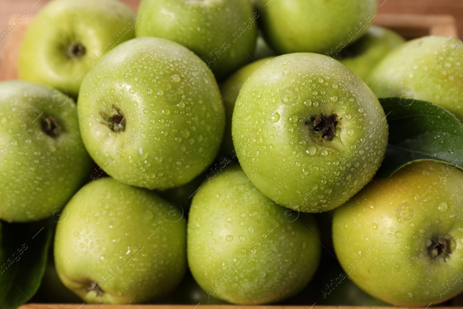 Photo of Fresh ripe green apples with water drops, closeup