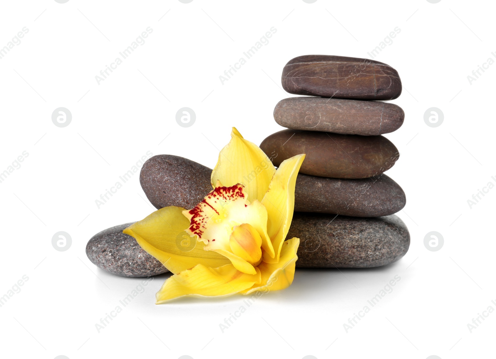 Photo of Spa stones and beautiful orchid on white background