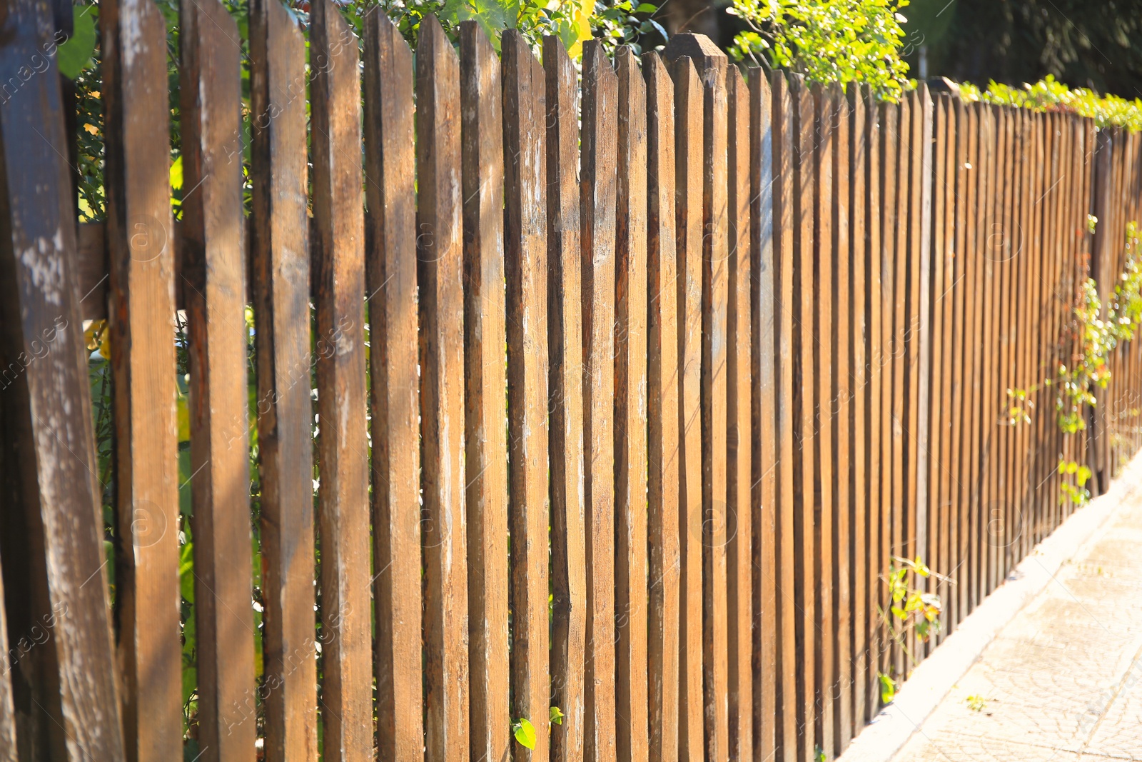 Photo of Shabby wooden fence outdoors on sunny day