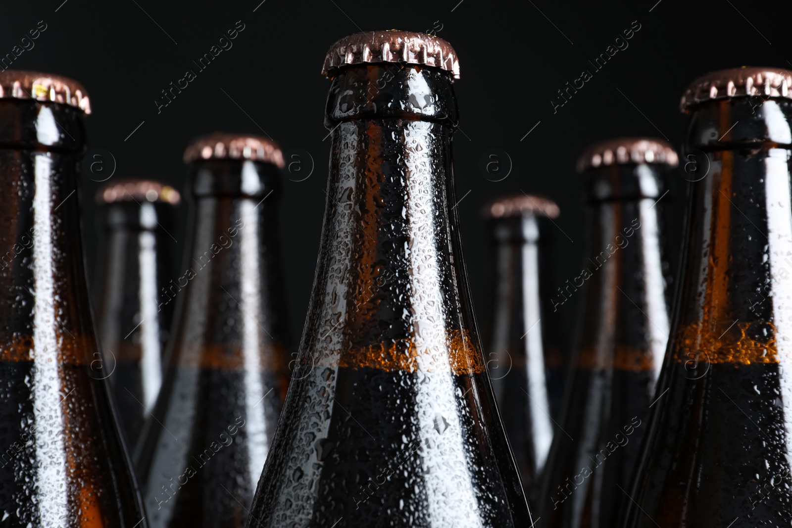 Photo of Bottles of beer on black background, closeup