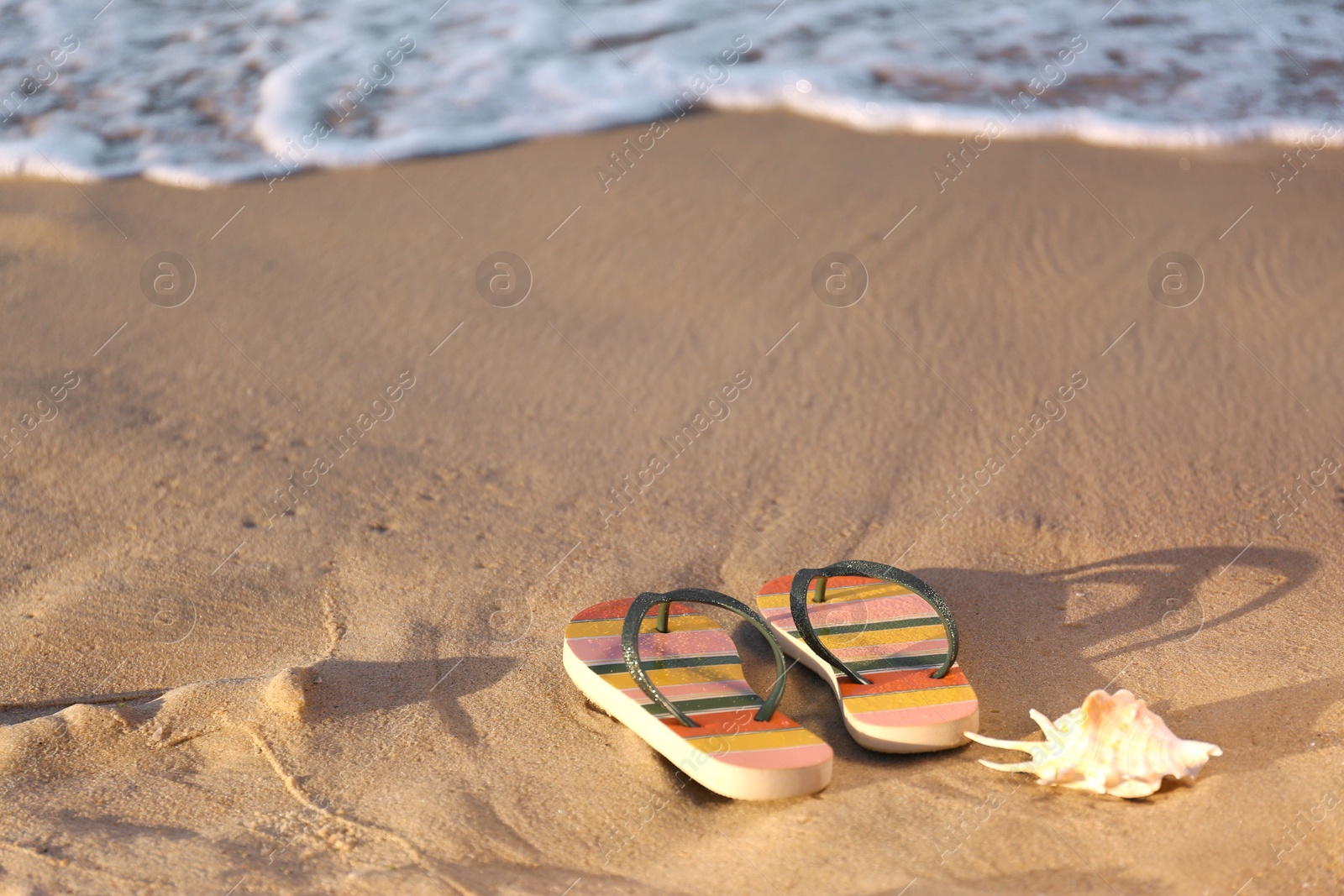 Photo of Stylish flip flops and shell on sand near sea, space for text. Beach accessories