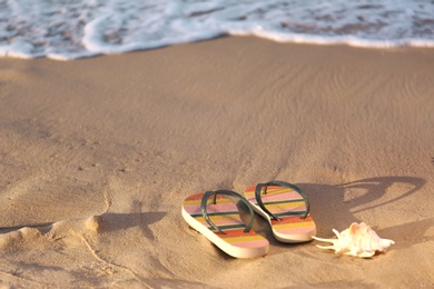 Stylish flip flops and shell on sand near sea, space for text. Beach accessories