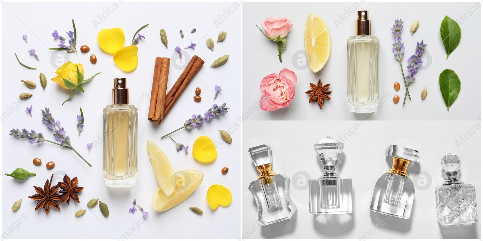 Image of Beautiful collage with photos of luxury perfume and ingredients represent their fragrance notes on light background, top view. Banner design