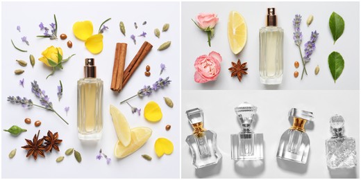 Image of Beautiful collage with photos of luxury perfume and ingredients represent their fragrance notes on light background, top view. Banner design