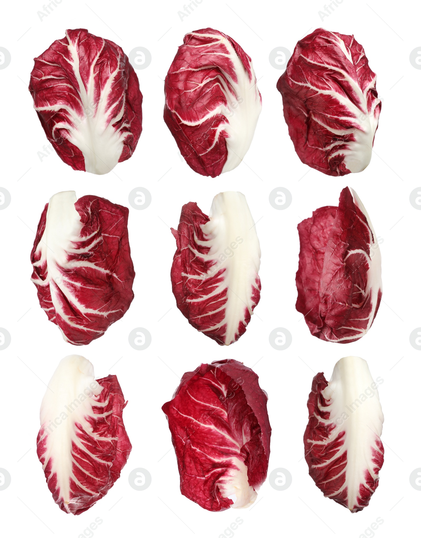 Image of Set with fresh ripe radicchio leaves on white background 