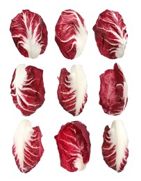 Image of Set with fresh ripe radicchio leaves on white background 