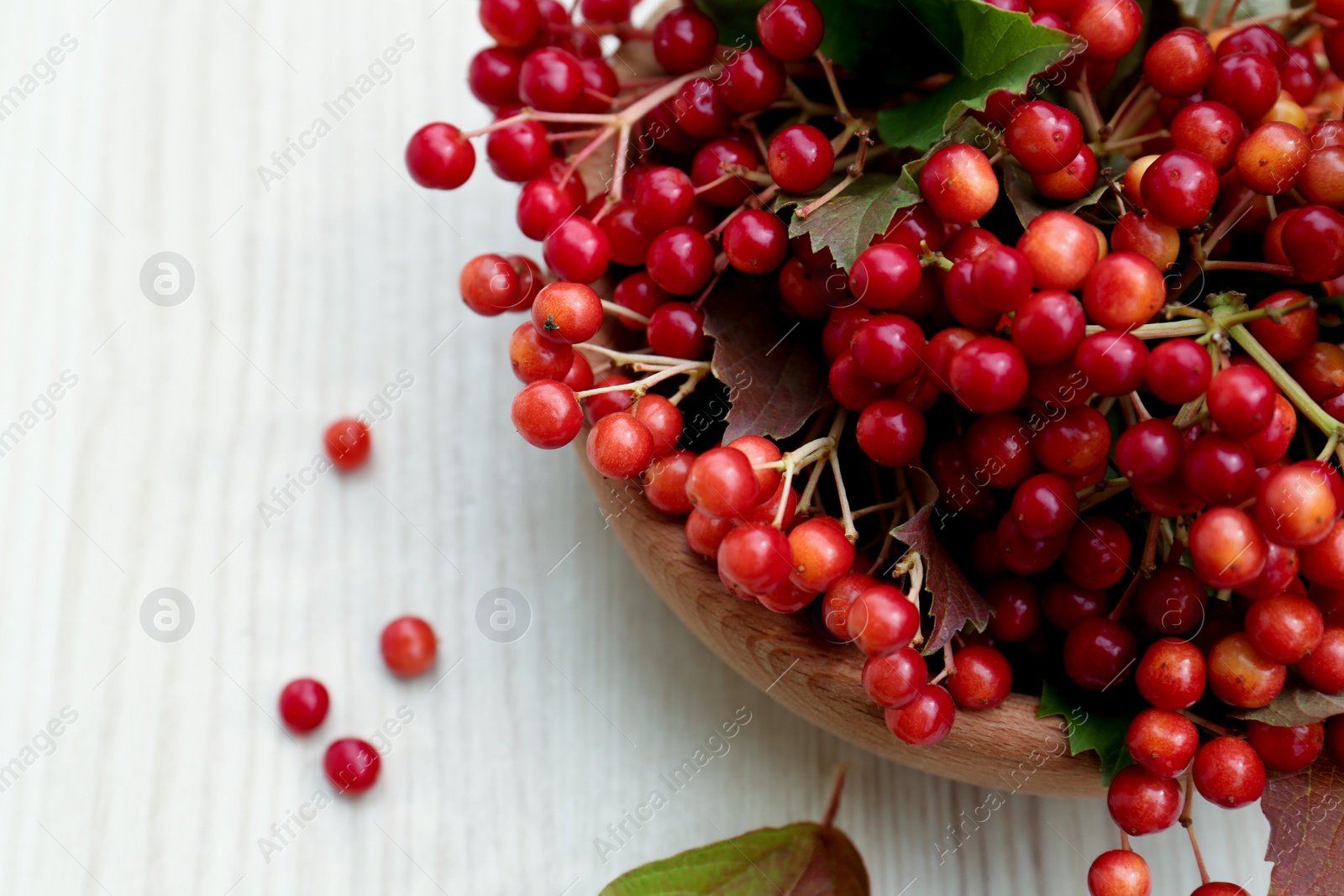 Photo of Bowl with tasty viburnum berries on white wooden table, top view