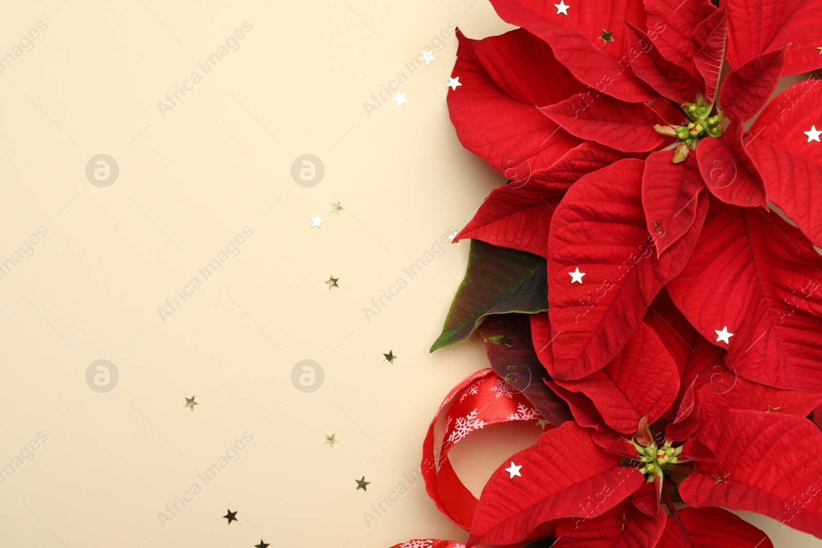 Photo of Beautiful poinsettias (traditional Christmas flowers) with confetti and ribbon on beige background, flat lay. Space for text