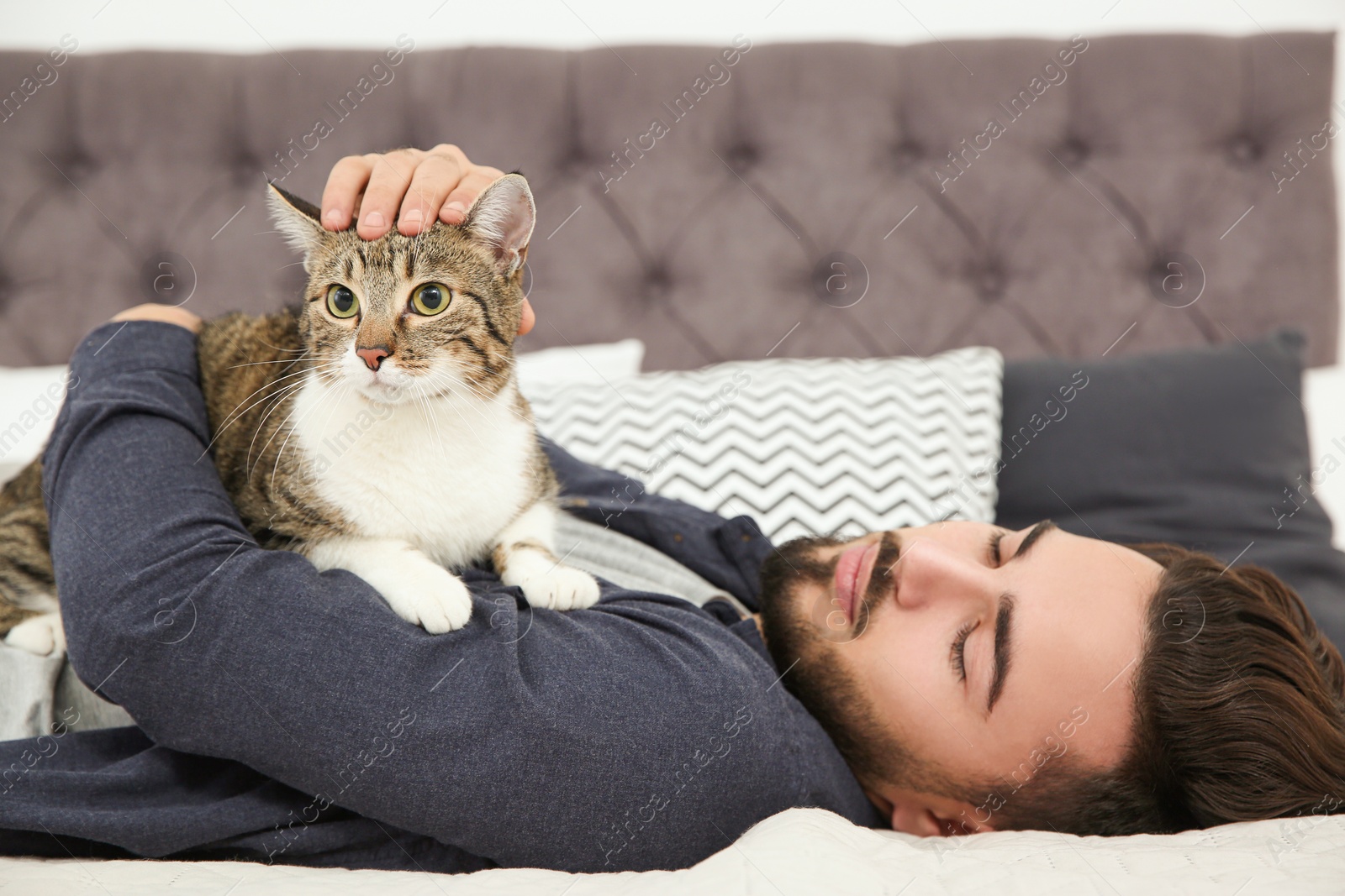 Photo of Happy man with cat on bed at home. Friendly pet