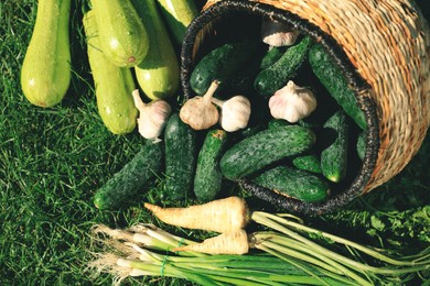 Photo of Scattered fresh ripe vegetables and wicker basket on green grass, top view
