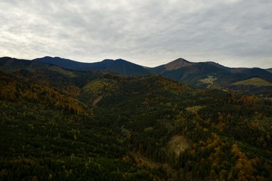 Image of Aerial view of beautiful mountain forest on autumn day