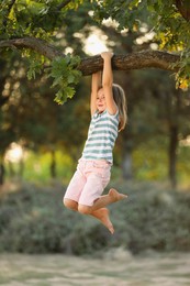 Cute little girl swinging on tree branch outdoors. Child spending time in nature
