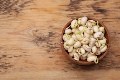 Photo of Sprouted kidney beans in bowl on wooden table, top view. Space for text
