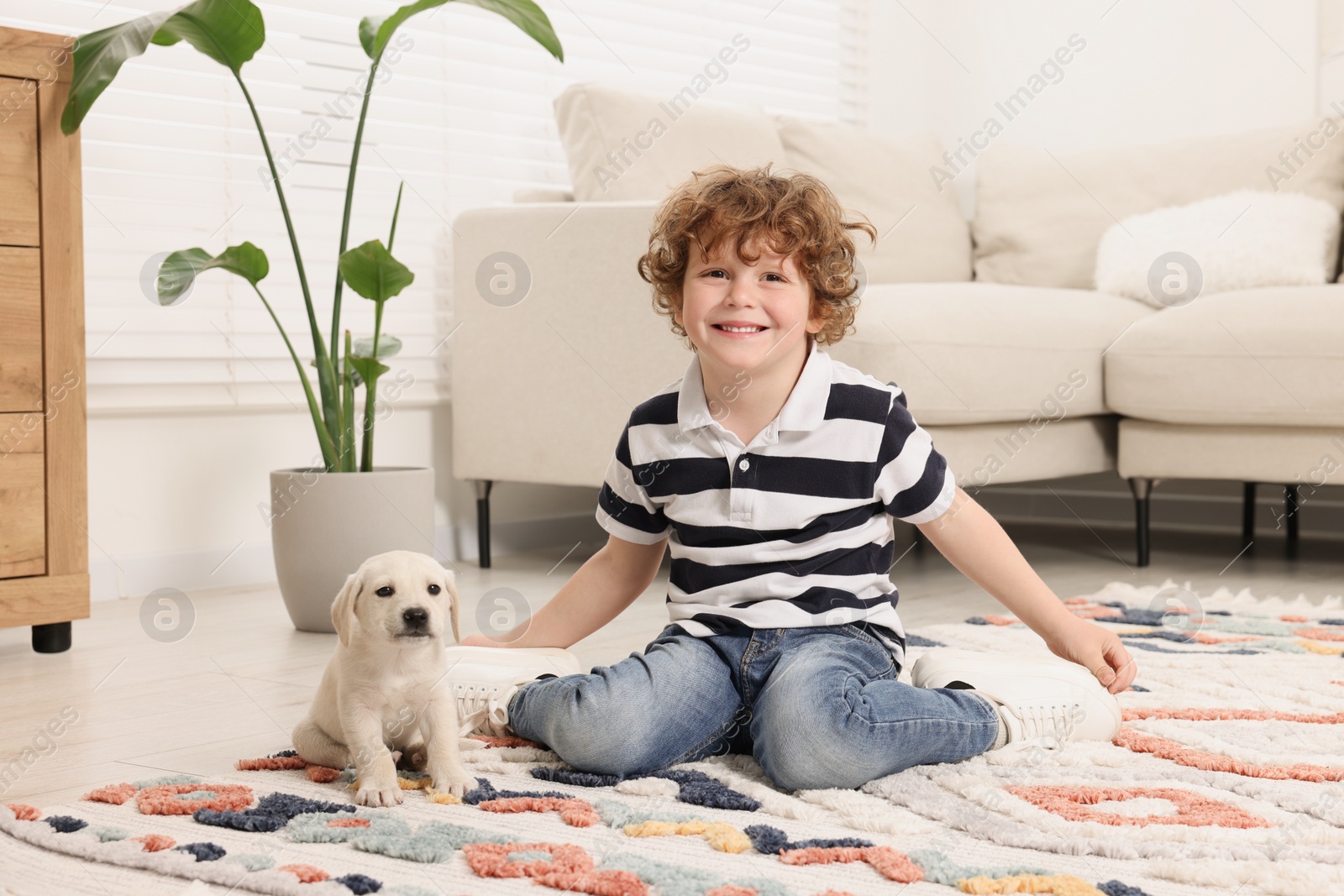 Photo of Little boy with cute puppy on carpet at home