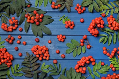 Photo of Fresh ripe rowan berries and green leaves on blue wooden table, flat lay