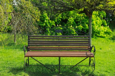 Beautiful wooden bench in park on sunny day