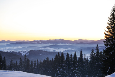 Photo of Beautiful mountain landscape with forest in winter