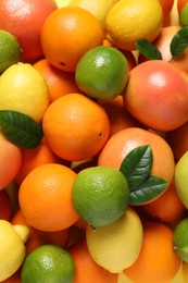 Photo of Different fresh citrus fruits and leaves as background, above view