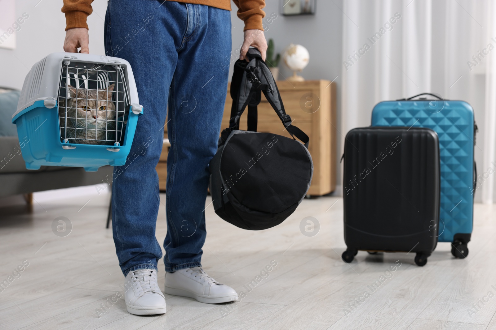 Photo of Travel with pet. Man holding carrier with cute cat and bag at home, closeup